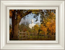 Load image into Gallery viewer, Nauvoo Young Street Farm

