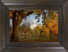 Load image into Gallery viewer, Nauvoo Young Street Farm
