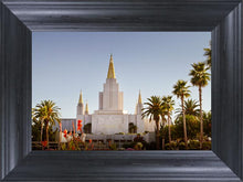 Load image into Gallery viewer, Oakland Sun
