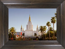 Load image into Gallery viewer, Oakland Sun
