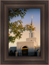 Load image into Gallery viewer, Sacramento Close Crop
