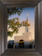 Load image into Gallery viewer, Sacramento Close Crop

