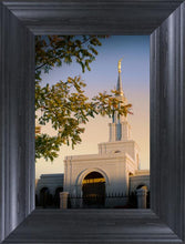 Load image into Gallery viewer, Sacramento Close Crop
