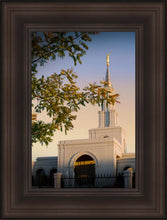 Load image into Gallery viewer, Sacramento Close Crop
