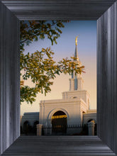 Load image into Gallery viewer, Sacramento Close Crop
