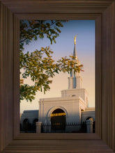 Load image into Gallery viewer, Sacramento Close Crop
