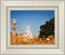 Load image into Gallery viewer, Sacramento Cotton Grass
