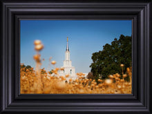 Load image into Gallery viewer, Sacramento Cotton Grass
