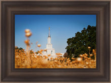Load image into Gallery viewer, Sacramento Cotton Grass
