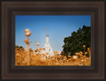 Load image into Gallery viewer, Sacramento Cotton Grass
