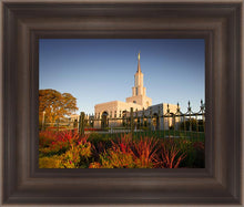 Load image into Gallery viewer, Sacramento Red Monkey Grass
