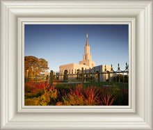 Load image into Gallery viewer, Sacramento Red Monkey Grass

