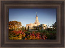 Load image into Gallery viewer, Sacramento Red Monkey Grass
