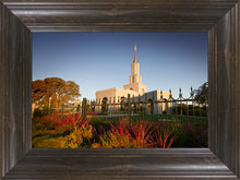 Load image into Gallery viewer, Sacramento Red Monkey Grass
