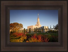 Load image into Gallery viewer, Sacramento Red Monkey Grass
