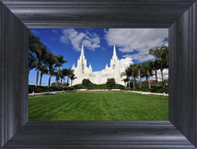 Load image into Gallery viewer, San Diego South Side
