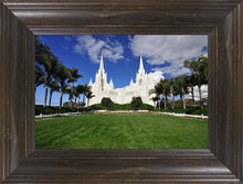 Load image into Gallery viewer, San Diego South Side
