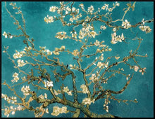 Load image into Gallery viewer, Blossoming Almond
