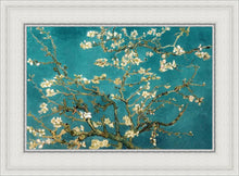 Load image into Gallery viewer, Blossoming Almond
