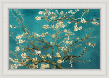 Load image into Gallery viewer, Blossoming Almond
