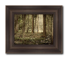 Load image into Gallery viewer, Sacred Grove
