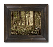 Load image into Gallery viewer, Sacred Grove
