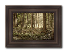 Load image into Gallery viewer, Sacred Grove
