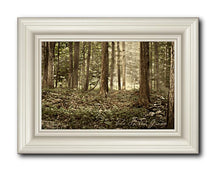 Load image into Gallery viewer, Sacred Grove
