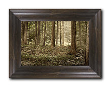 Load image into Gallery viewer, Sacred Grove
