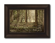 Load image into Gallery viewer, Sacred Grove
