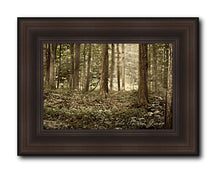 Load image into Gallery viewer, Sacred Grove
