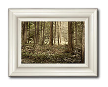 Load image into Gallery viewer, Sacred Grove
