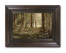 Load image into Gallery viewer, Sacred Grove
