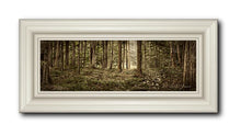 Load image into Gallery viewer, Sacred Grove
