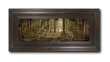 Load image into Gallery viewer, Sacred Grove
