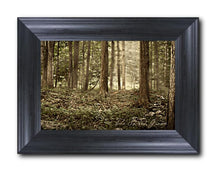 Load image into Gallery viewer, Sacred Grove
