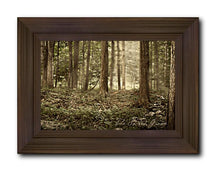 Load image into Gallery viewer, Sacred Grove
