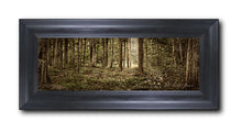 Load image into Gallery viewer, Sacred Grove
