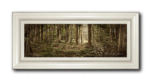 Load image into Gallery viewer, Sacred Grove
