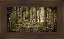 Load image into Gallery viewer, Sacred Grove
