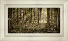 Load image into Gallery viewer, Sacred Grove
