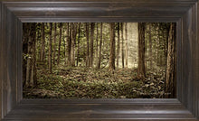 Load image into Gallery viewer, Sacred Grove
