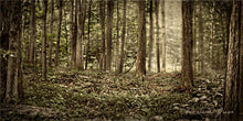 Load image into Gallery viewer, Sacred Grove
