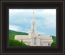Load image into Gallery viewer, Bountiful Hillside
