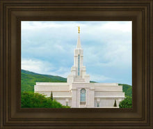 Load image into Gallery viewer, Bountiful Hillside
