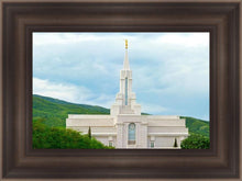 Load image into Gallery viewer, Bountiful Hillside
