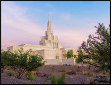 Load image into Gallery viewer, Phoenix Desert Blossom
