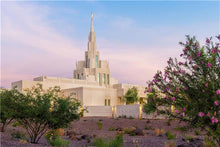 Load image into Gallery viewer, Phoenix Desert Blossom
