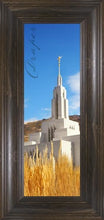 Load image into Gallery viewer, Draper Spire
