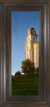 Load image into Gallery viewer, Manti Spire (Vertical)
